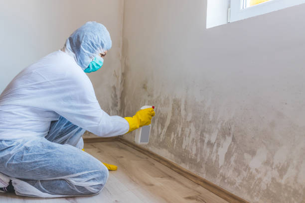 Mold Remediation specialist working in Norfolk